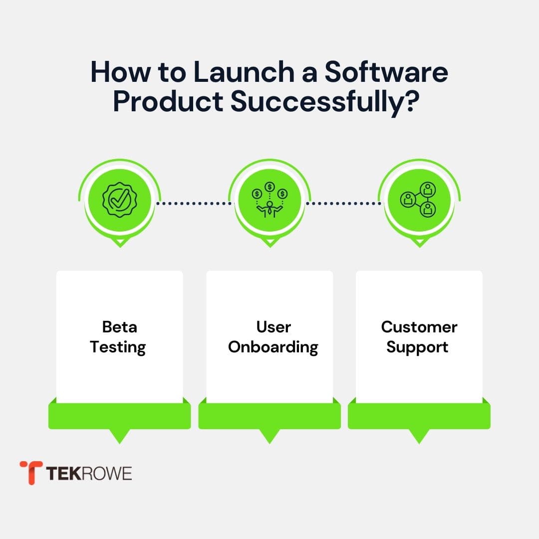 How to Launch a Software Product Successfully? 